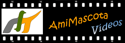 AmiMascota.com, El portal dedicado a tu Mascota